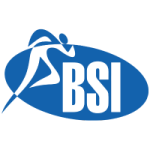 BSI_logó